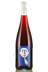 Salento Bizona BW-555 - вино Саленто Бизона BW-555 0.75 л красное сухое