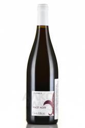 Guy Allion Les Parcs Pinot Noir Val de Loire IGP - вино Ги Альон Ле Парк Пино Нуар ИГП Валь де Луар 0.75 л красное сухое