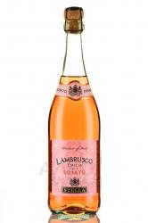 Lambrusco Emilia Stella Rosato - вино игристое Ламбруско Эмилия Стелла Розато 0.75 л розовое полусладкое