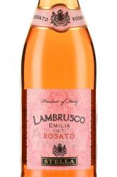 Lambrusco Emilia Stella Rosato - вино игристое Ламбруско Эмилия Стелла Розато 0.75 л розовое полусладкое