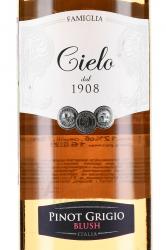 вино Cielo e Terra Pinot Grigio Blush 0.75 л этикетка