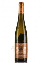 Traisen Bastei GG Riesling Troken - вино Трайзен Бастай GG Рислиг Трокен 2017 год 0.75 л белое сухое