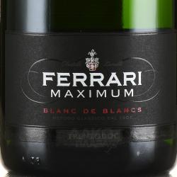 Ferrari Maximum Blanc de Blancs Trento DOC - вино игристое Тренто ДОК Феррари Максимум Блан де Блан 0.75 л брют белое в п/у