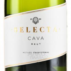 Selectio Cava Brut - вино игристое Селекта Кава Брют 0.75 л белое брют