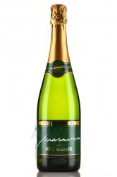 Cava Josep Masachs Brut Nature - игристое вино Кава Джозеф Масакс Брют Натюр 0.75 л