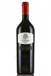 Badagoni Alaverdi Tradition - вино Бадагони Традиции Алаверди 0.75 л красное сухое
