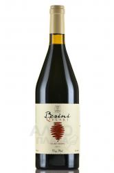 Wine Besini Qvevri Dry Red - вино Бесини Квеври 0.75 л красное сухое