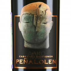 Penalolen Cabernet Sauvignon - вино Пеньялолен Каберне Совиньон 0.75 л сухое красное