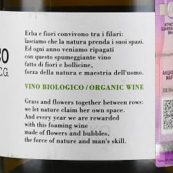 Asolo Prosecco Superiore Brut Case Paolin - вино игристое Азоло Просекко Суперьоре Брют Казе Паолин 0.75 л белое брют