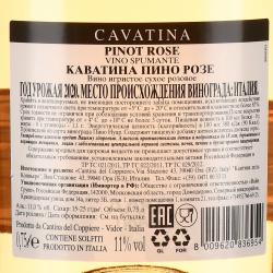 Cantina del Coppiere Cavatina Pinot Rose - игристое вино Каватина Пино Розе 0.75 л