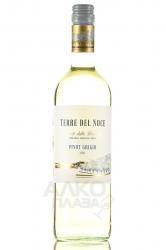 Mezzacorona Terre del Noce Pinot Grigio - вино Терре дель Ноче Пино Гриджио 0.75 л белое сухое