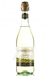 Lambrusco Emilia Valle Calda - игристое вино Ламбруско Эмилия Валле Кальда 0.75 л