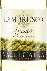 Lambrusco Emilia Valle Calda - игристое вино Ламбруско Эмилия Валле Кальда 0.75 л
