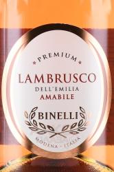 Binelli Lambrusco Rosato Dell Emilia Amabile - вино игристое Ламбруско Бинелли Премиум дель Эмилия 0.75 л