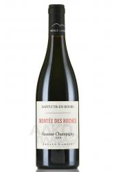 Saint-Cyr En Bourg Montee des Roches Parcellaire Saumur Champigny Cabernet Franc - вино Сен-Сир ан Бур Монте де Рош Парселлер Сомюр-Шампиньи Каберне Фран 0.75 л красное сухое