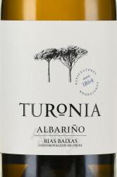 Turonia Albarino - вино Турония Альбариньо 0.75 л белое сухое