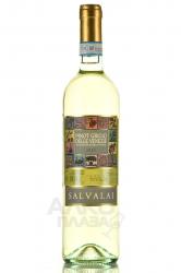 Salvalai Pinot Grigio delle Venezie - вино Салвалай Пино Гриджо делле Венецие 0.75 л белое полусухое