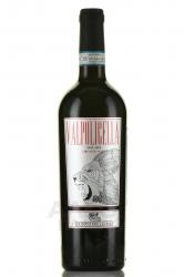 Domini del Leone Amarone della Valpolicella DOCG - вино Домини дель Леоне Амароне делла Вальполичелла ДОКГ 0.75 л красное сухое
