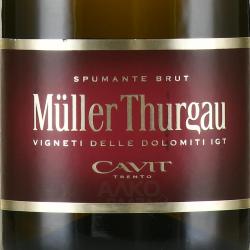 Muller Thurgau Spumante Brut - вино игристое Мюллер Тургау Спуманте Брют 0.75 л белое брют