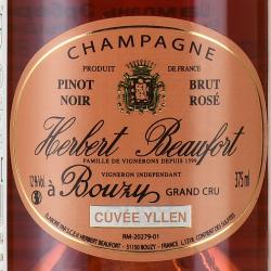 Champagne Dumenil Amour de Cuvee Blanc de Noirs - шампанское Шампань Дюмениль Амур де Кюве Блан де Нуар 0.75 л розовое брют