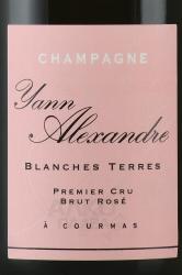 Yann Alexandre Blanches Terres Brut Rose Premier Cru - шампанское Янн Александр Бланш Терр Брют Розе Премье Крю 0.75 л