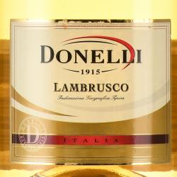 Donelli Lambrusco dell Emilia IGT Amabile - игристое вино Донелли Ламбруско дель Эмилия 0.75 л белое полусладкое