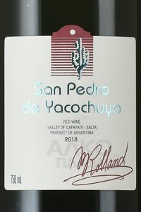 вино Сан Педро де Якочуйя Коллекция Мишеля Роллан красное сухое 0.75 л этикетка