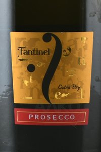 Fantinel Prosecco Extra Dry - вино игристое Фантинель Просекко Экстра Драй 1.5 л белое сухое