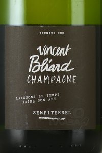 Champagne Sempiternel - шампанское Шампань Санпитернель 0.75 л белое экстра брют