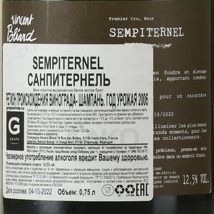 Champagne Sempiternel - шампанское Шампань Санпитернель 0.75 л белое экстра брют