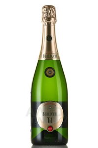 Guido Berlucchi 61 Franciacorta Brut - вино игристое Берлукки 61 Франчакорта Брют 0.75 л белое брют в п/у