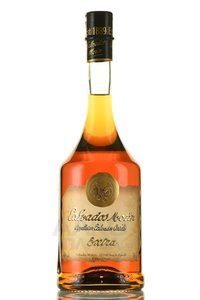 Calvados Morin Extra - кальвадос Морин Экстра 0.7 л