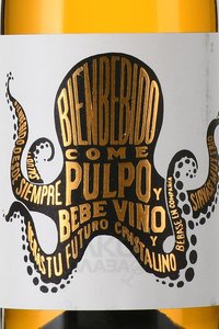 Bienbebido Pulpo - вино Бьенбебидо Пульпо 0.75 л белое полусухое