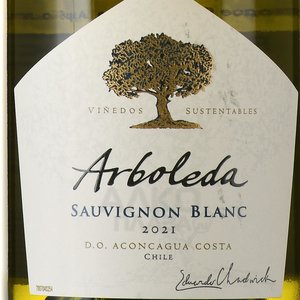 Arboleda Sauvignon Blanc - вино Арболеда Совиньон блан 0.75 л белое сухое