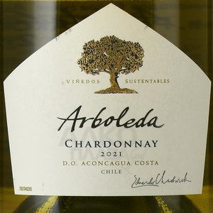 Arboleda Chardonnay - вино Арболеда Шардоне 0.75 л белое сухое