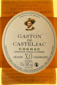 Gaston de Casteljac XO Extra - коньяк Гастон де Кастельжак ХО Экстра графин 0.7 л в д/у