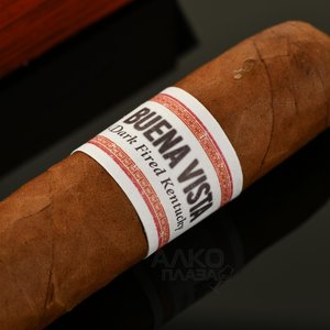 Buena Dark Fired Kentucky Short Robusto - сигары Буэна Дарк Файер Кентукки Шорт Робусто