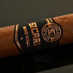 Robusto Extra Linea Clasica - сигары Робусто Экстра Линеа Классика