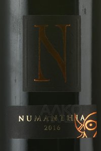 Numanthia Toro - вино Нумантия Торо 0.75 л красное сухое