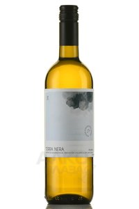 Cyclades Artemis Karamolegos Terra Nera Assyrtiko - вино Кикладес Артемис Карамолегос Терра Нера. Ассиртико 0.75 л белое сухое