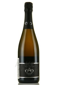 Champagne Augustin Amme Pinot Noir - шампанское Шампань Августин Амме Пино Нуар 0.75 л белое экстра брют