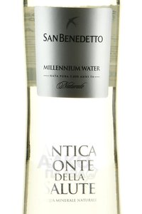 Вода негазированная Сан Бенедетто 0.33 л стекло