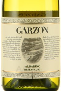 Garzon Albarino - вино Гарзон Альбариньо 0.75 л белое сухое