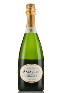 Champagne Amazone de Palmer & Co - шампанское Шампань Амазон де Пальмер энд Ко 0.75 л белое брют в п/у
