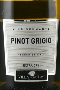 Pinot Grigio Spumante Extra Dry - вино игристое Пино Гриджо Спуманте Экстра Драй 0.75 л белое брют