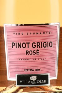 Pinot Grigio Rose Spumante Extra Dry - вино игристое Пино Гриджо Розе Спуманте Экстра Драй 0.75 л розовое брют