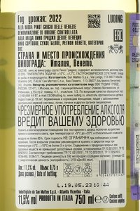 Alla Moda Pinot Grigio delle Venezie - вино Алла Мода Пино Гриджо Делле Венеция 0.75 л белое сухое