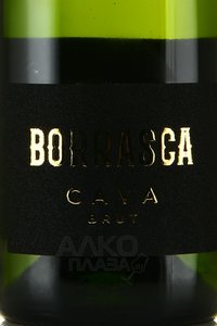 Borrasca Cava - вино игристое Борраска Кава 0.75 л белое сухое