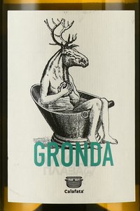 Gronda Toscana - вино Гронда Тоскана 0.75 л белое сухое
