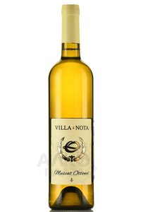Villa Nota Muscat Ottonel - вино Вилла Нота Мускат Оттонел 0.75 л белое сухое